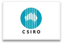 csiro-savvy-hr-brisbane.jpg
