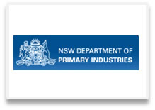 dpi-savvy-hr-brisbane.jpg