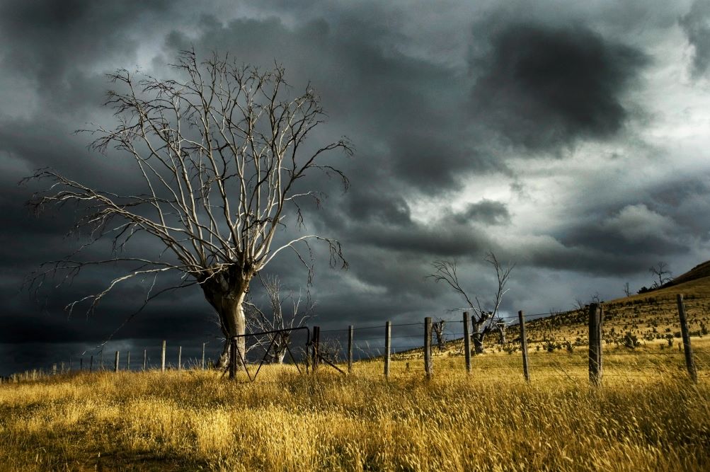 Stand Downs Natural Disasters and Employee Leave
