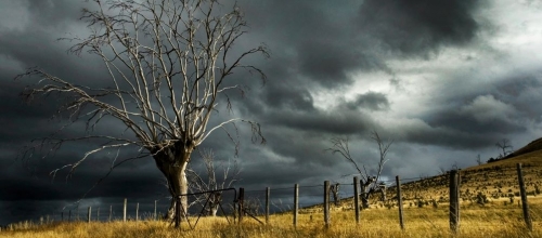 Cyclone Safety and Stand Downs: Managing Worker Safety and Business Obligations During Severe Weather